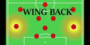 wingback là gì